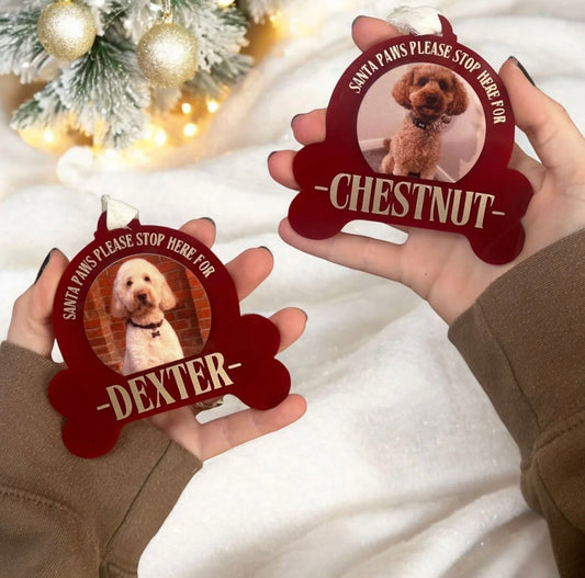 Acrylic Dog Bone Bauble in Red