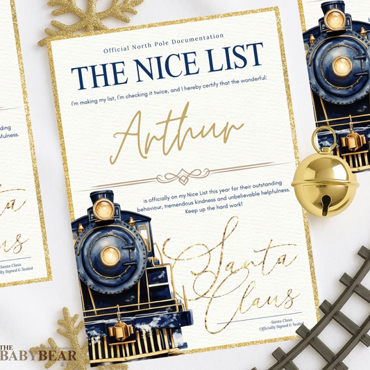 Polar Express The NICE List Certificate - Navy